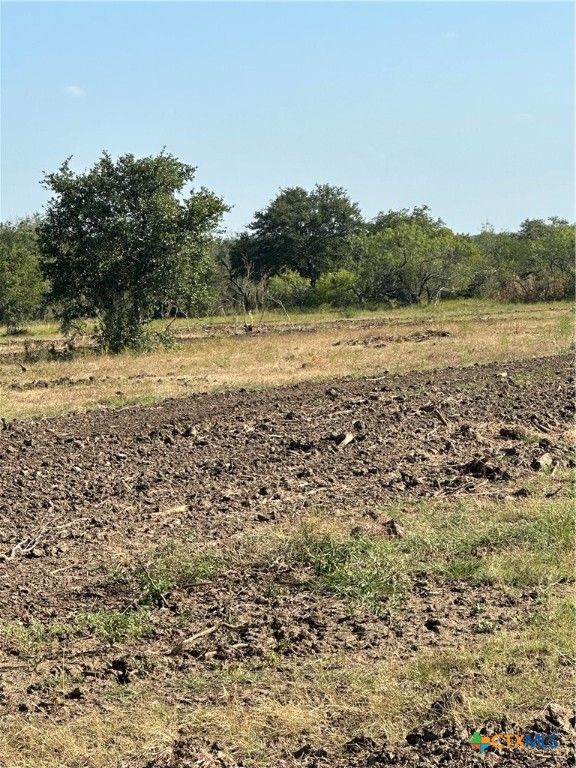 5894 FM 1107, Unit A-Tract 2 A-2, Stockdale, TX 78160
