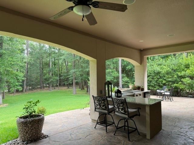 28443 Village Oaks Court, Magnolia, TX 77355