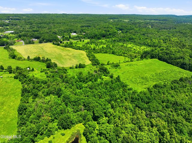 334 Duanesburg Churches Road, Duanesburg, NY 12053