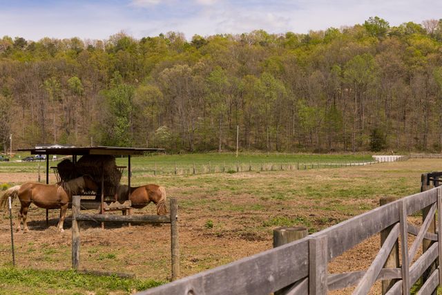 3445 Mill Creek Road, Owingsville, KY 40360