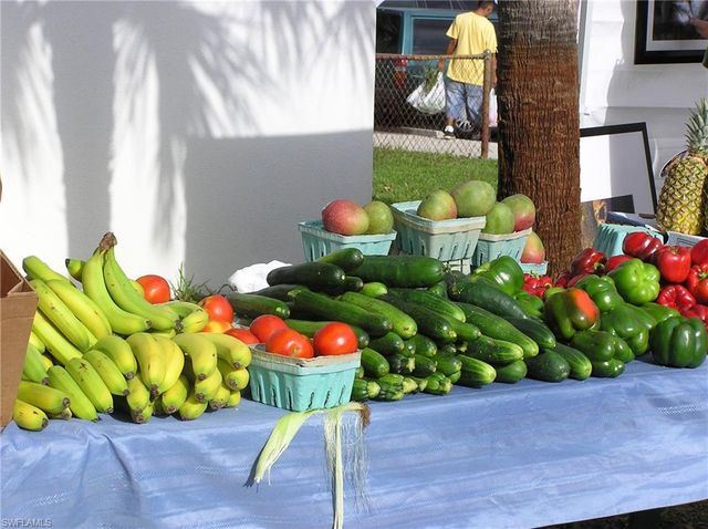 460 Fox Haven DR # 1107, Naples, FL 34104