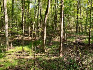 00 Horse Farm Road, Iva, SC 29655