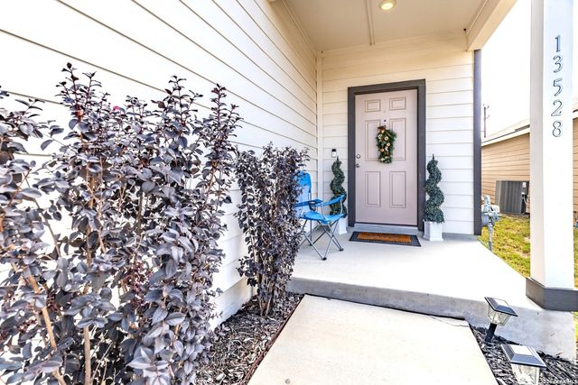 13528 LUNAR LGT, St Hedwig, TX 78152