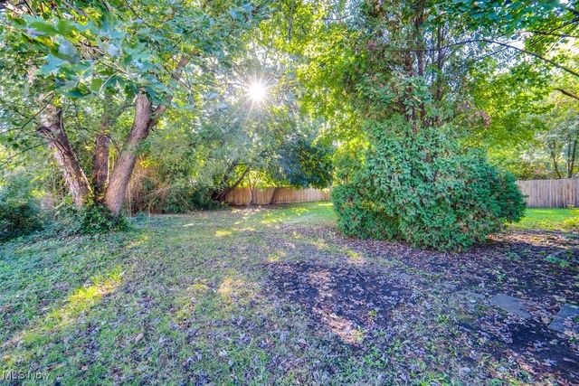 713 Virginia Avenue, Akron, OH 44306