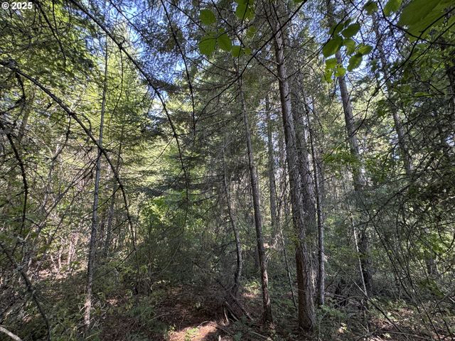 SNOWDEN, White Salmon, WA 98672