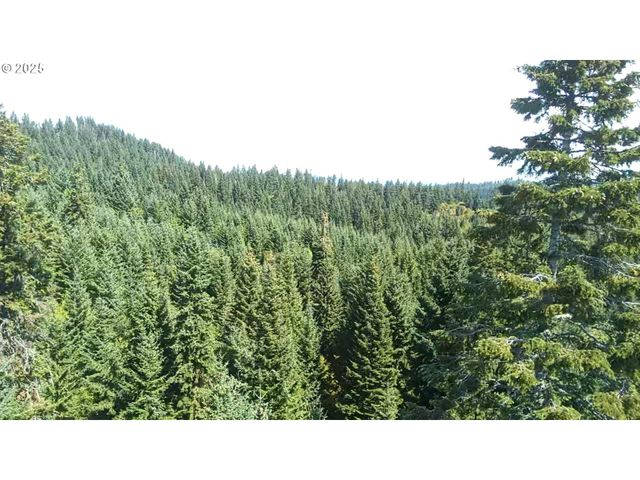 SNOWDEN, White Salmon, WA 98672