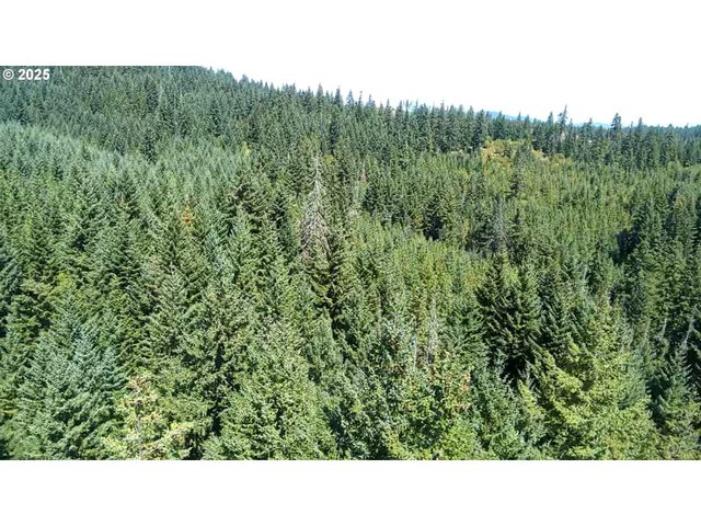 SNOWDEN, White Salmon, WA 98672