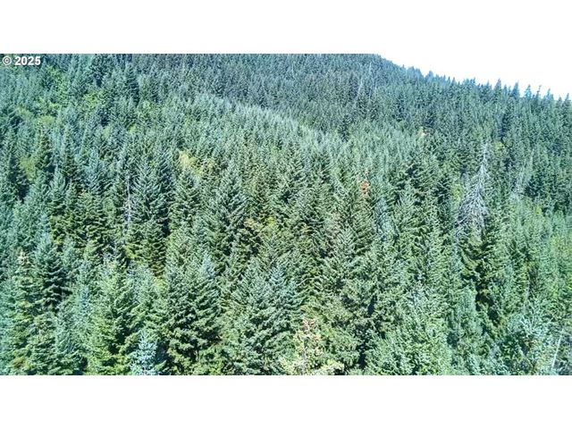 SNOWDEN, White Salmon, WA 98672