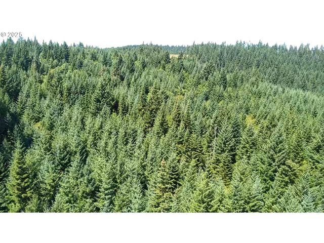 SNOWDEN, White Salmon, WA 98672