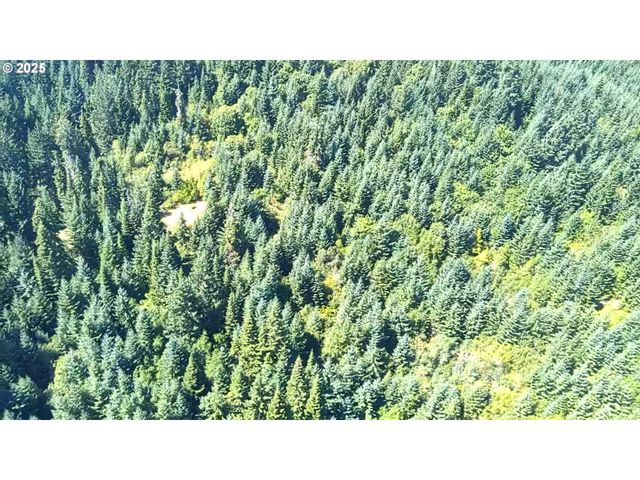 SNOWDEN, White Salmon, WA 98672