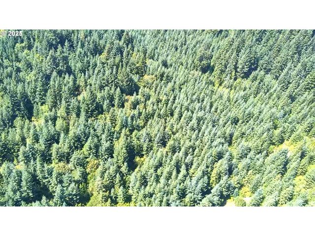 SNOWDEN, White Salmon, WA 98672