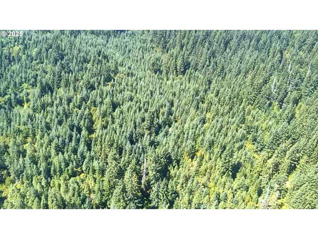 SNOWDEN, White Salmon, WA 98672