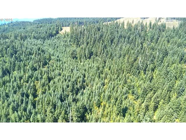 SNOWDEN, White Salmon, WA 98672