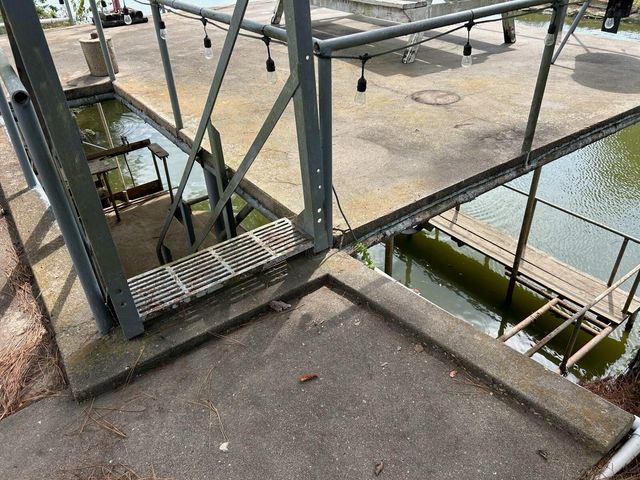 46 Point Loop, Huntsville, TX 77320