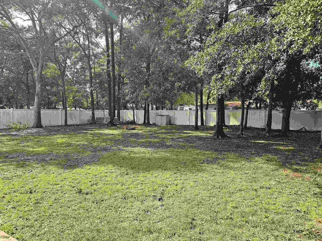 350 Southern Branch Dr., Myrtle Beach, SC 29588 — photo 3