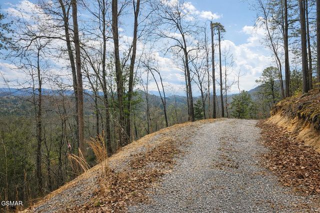 Tr1-B Sulpher Springs Way, Sevierville, TN 37876