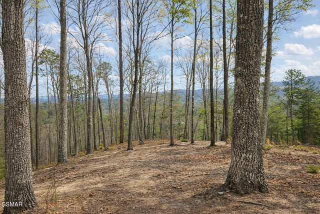 Tr1-B Sulpher Springs Way, Sevierville, TN 37876
