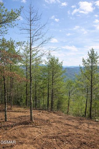 Tr1-B Sulpher Springs Way, Sevierville, TN 37876