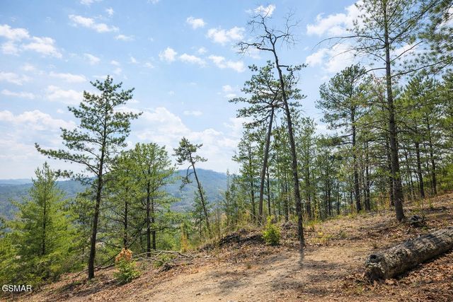 Tr1-B Sulpher Springs Way, Sevierville, TN 37876