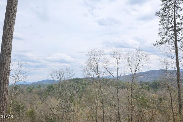Tr1-B Sulpher Springs Way, Sevierville, TN 37876