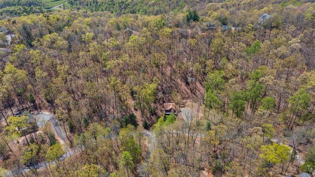 455 Shepherds Walk, Morganton, GA 30560