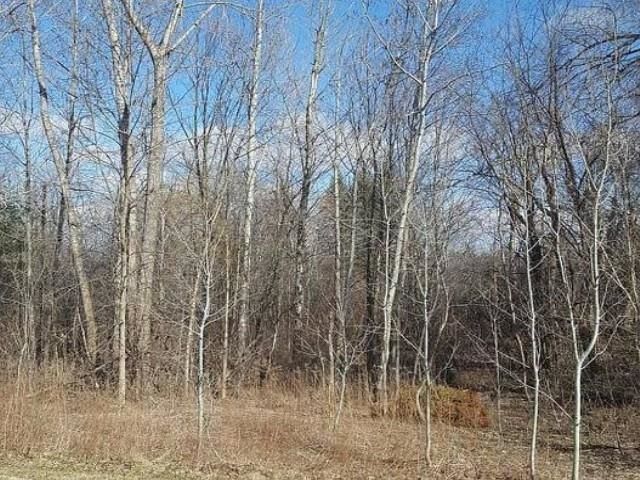 124 Quarry Hill Rd Apt 32, South Burlington, VT 05403