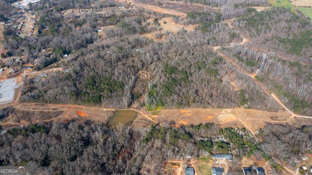 1029 High Falls Road, Griffin, GA 30223