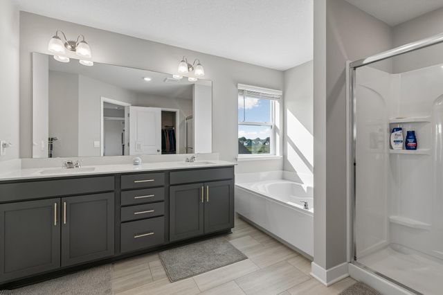 17248 Draft Horse Boulevard, Lakeville, MN 55044