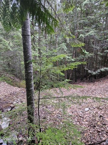 940 Sled Run Trl, Clark Fork, ID 83811