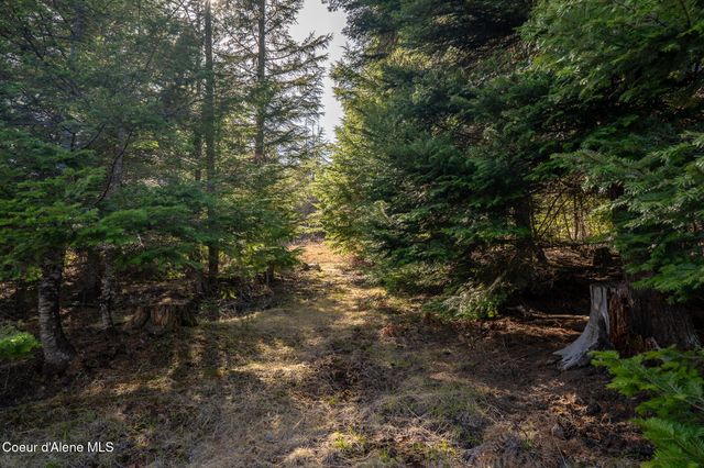 940 Sled Run Trl, Clark Fork, ID 83811