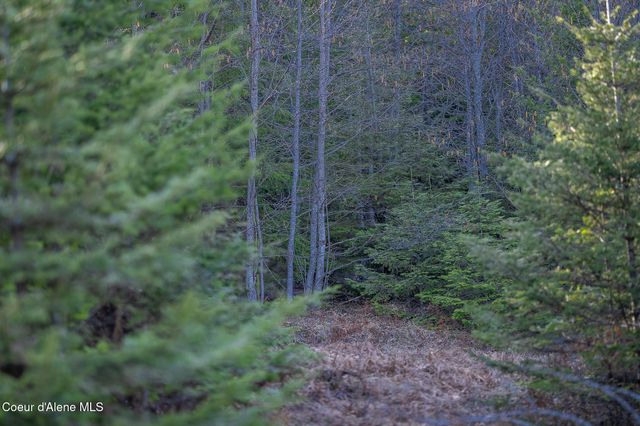 940 Sled Run Trl, Clark Fork, ID 83811