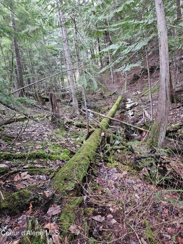 940 Sled Run Trl, Clark Fork, ID 83811