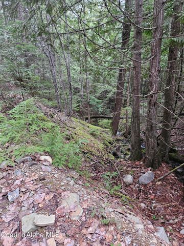 940 Sled Run Trl, Clark Fork, ID 83811