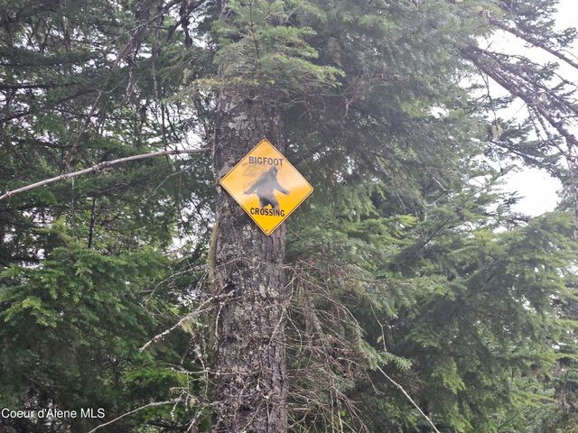 940 Sled Run Trl, Clark Fork, ID 83811