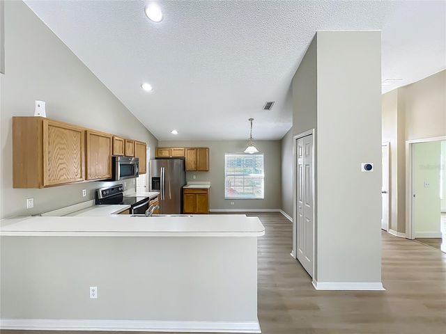 1103 LAKEVIEW OAKS DRIVE, Minneola, FL 34715