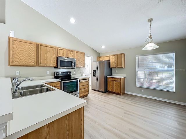 1103 LAKEVIEW OAKS DRIVE, Minneola, FL 34715