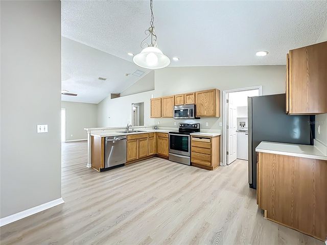 1103 LAKEVIEW OAKS DRIVE, Minneola, FL 34715