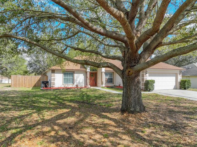 1103 LAKEVIEW OAKS DRIVE, Minneola, FL 34715
