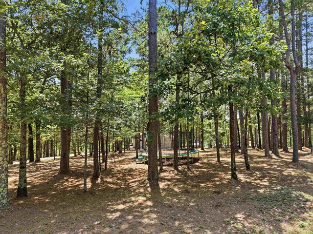 79 Jones Hill Lane, Mayflower, AR 72106