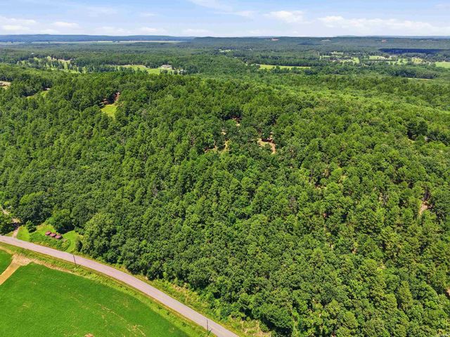 79 Jones Hill Lane, Mayflower, AR 72106