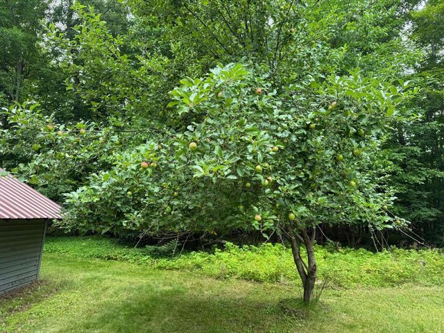 W6845 DISAPPEARING CREEK, Phillips, WI 54555