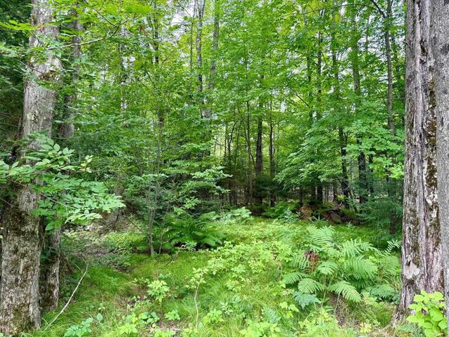 W6845 DISAPPEARING CREEK, Phillips, WI 54555