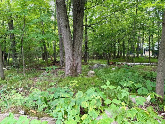 W6845 DISAPPEARING CREEK, Phillips, WI 54555