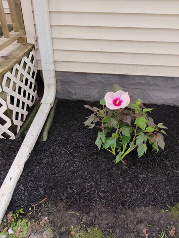 103 W Cherokee Avenue W, Shabbona, IL 60550