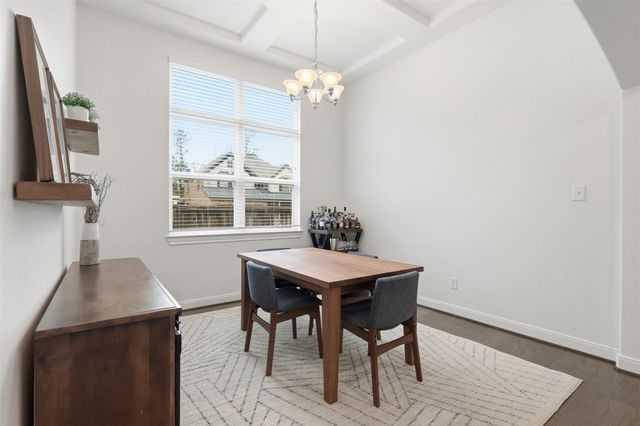 22503 Birch Ridge Meadow Drive, Spring, TX 77389