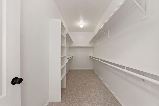 910 Box Elder Drive, Magnolia, TX 77354