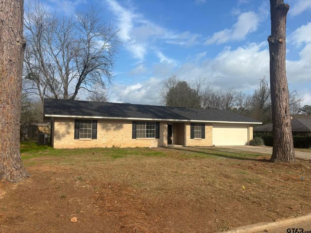 206 Park Lane, Pittsburg, TX 75686