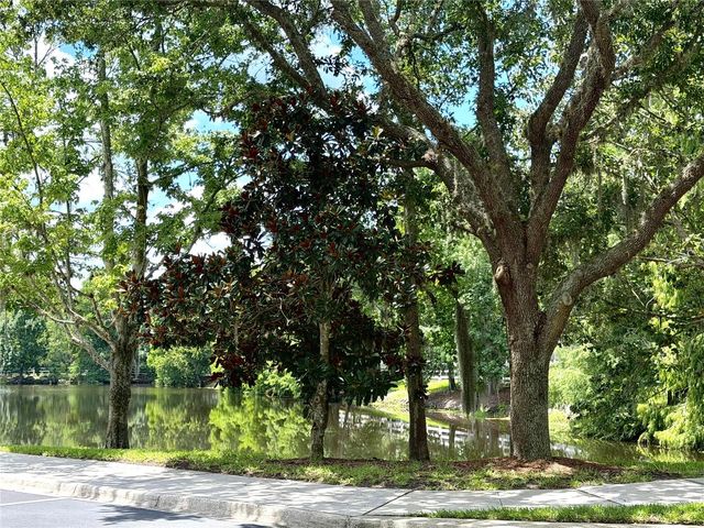 909 WATERSIDE LANE 205, Celebration, FL 34747