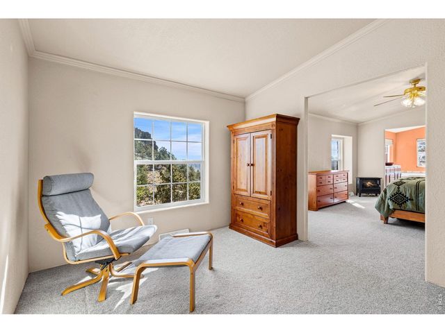 39 Mount Sherman Ct, Livermore, CO 80536