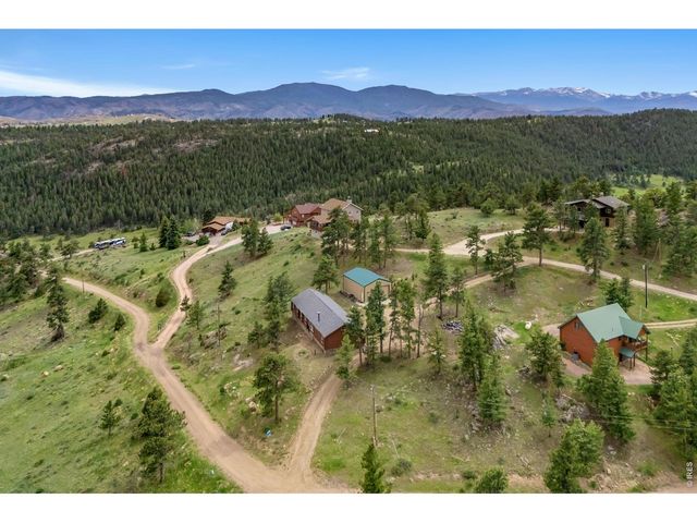 39 Mount Sherman Ct, Livermore, CO 80536